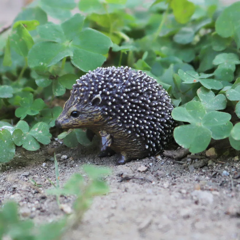 Simulation Wild Animal Malayan Tapir Hedgehog Waterbuck Cassowary Ruffed Lemur Reindeer Action Figures Poultry Rabbit Donkey Toy