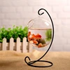 Suspended Transparent Hanging Glass Fish for Tank Bottle Aquarium Flowe 4