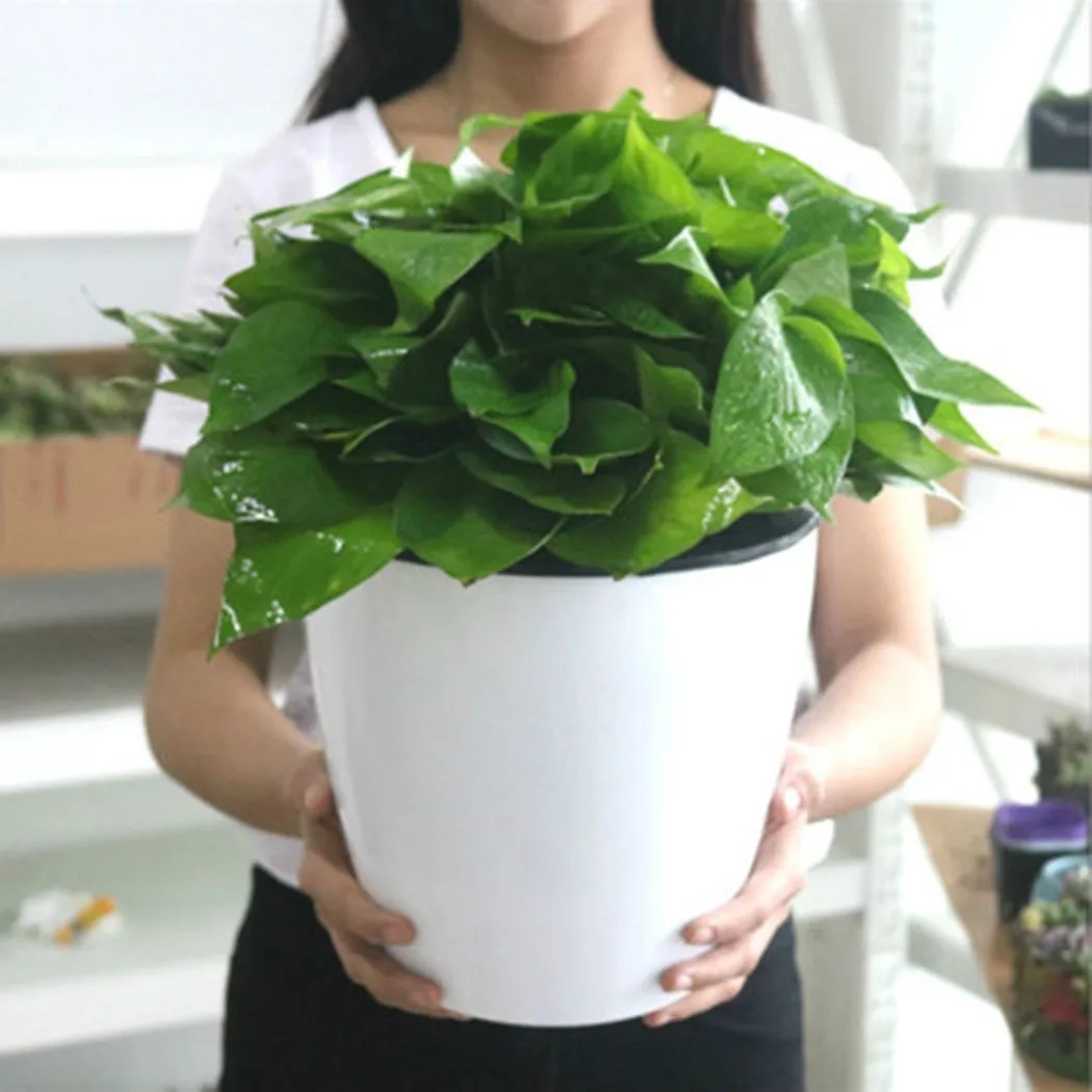 

Self-absorbing Flowerpot Resin Imitation Porcelain Series Green Plant Pot Hydroponic Self-Watering Lazy Pot Garden Supplies