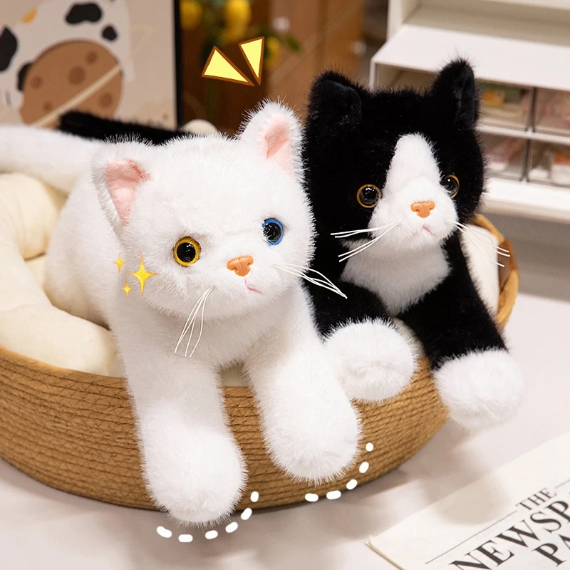 HOKESS 20 Inch Ragdoll Cat Stuffed Animal - Ultra Soft Realistic Plush Toy, Gift For Kids & Cat Lovers