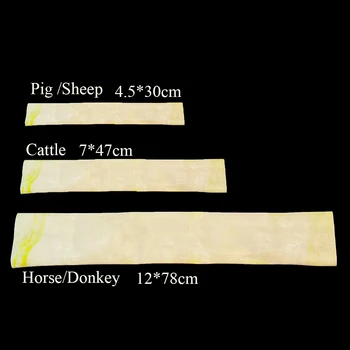 Bestiame Animale Maiale Pecora Cavallo Mucca Inseminazione artificiale Accessori Parte di ricambio Camera d'aria Raccolta dello sperma Attrezzature agricole