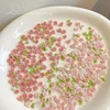 30pcs 3D Mixed Size Pearl Resin Flower Rose Nail Charms Accessories Pink Rose Red Nail Art Luxury Decoratons Supplies Parts DIY 1