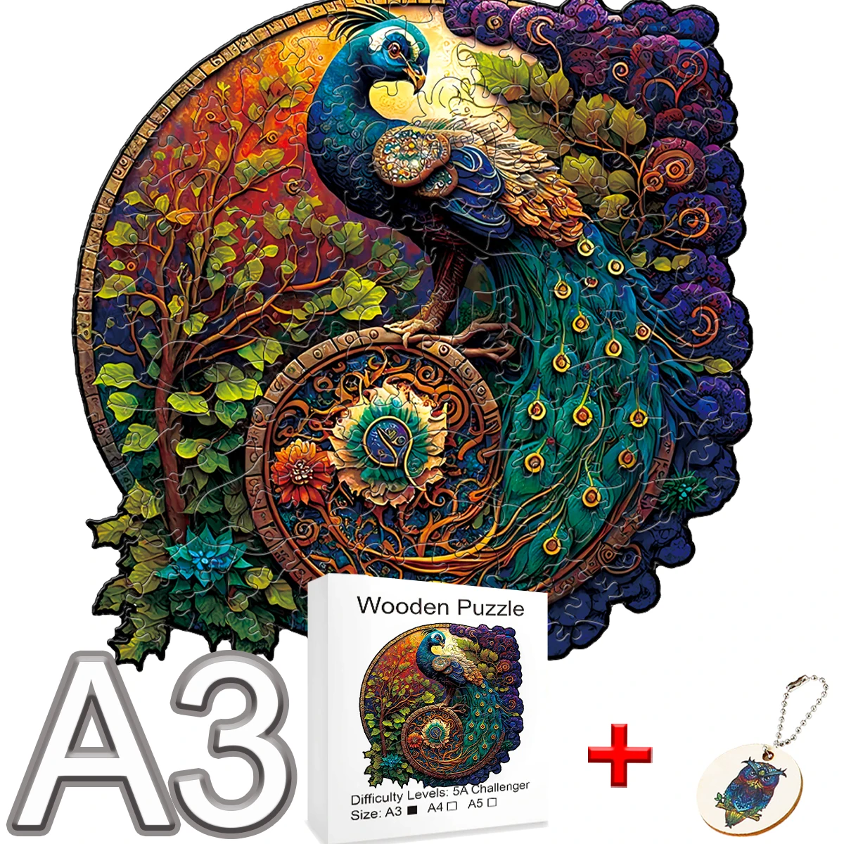 TT-KONGQ-03-A3-C