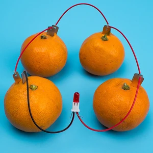 DIY Homemade Fruit Educational Electricity-generating Physics Experiment Orange Battery Generator Experimental Kits