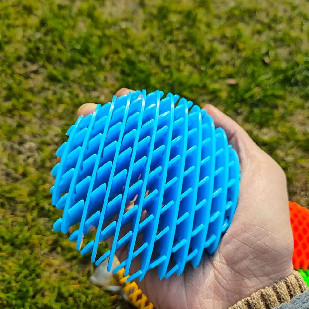 Morphing Worm Fidget Toy Decompression Elastic Net Pressing Stress Relief sensory fidget toy,anti stress toy,fidget toy,finger sensory toy