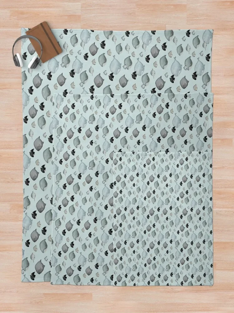 ���� ���� ���� ���ο� ���, ħ�� ������ �ö��� ���� ���, ũ�������� ���� ����, ���� ���