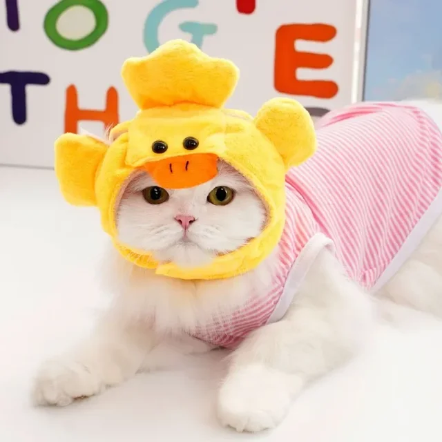 Cute Refined Cat Hat Elastic Autumn Winter Pet Hat Puppy Kittens Knitted Hat Party Photo Shoot Props Decoration Cat Accessories 5
