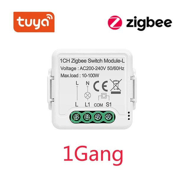 1 Gang