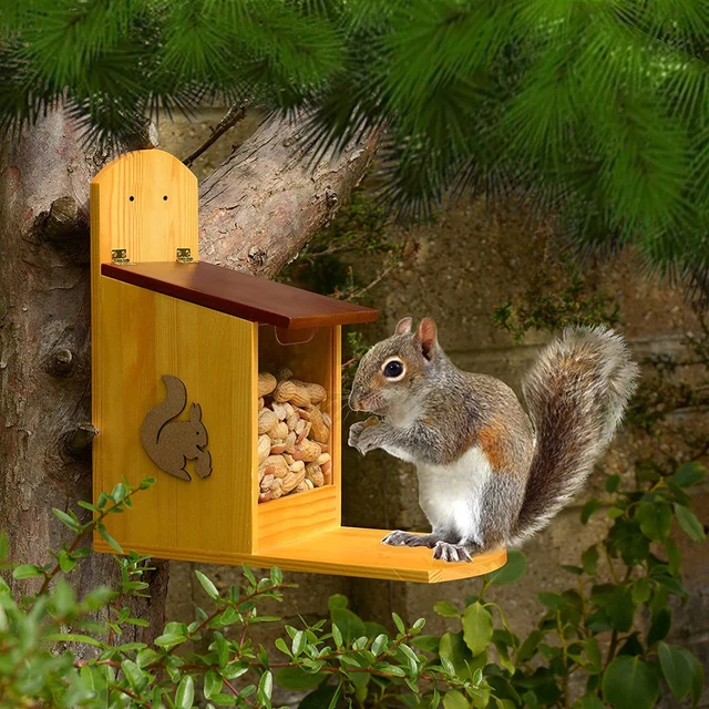 Boîte d'alimentation d'écureuil, maison d'alimentation d'écureuil avec  couverture verte, robuste