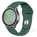 Pine green-21