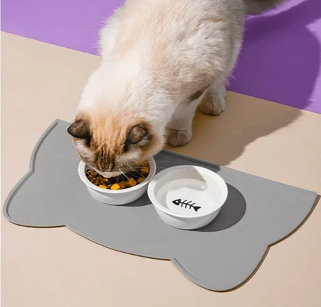 kitten-gray