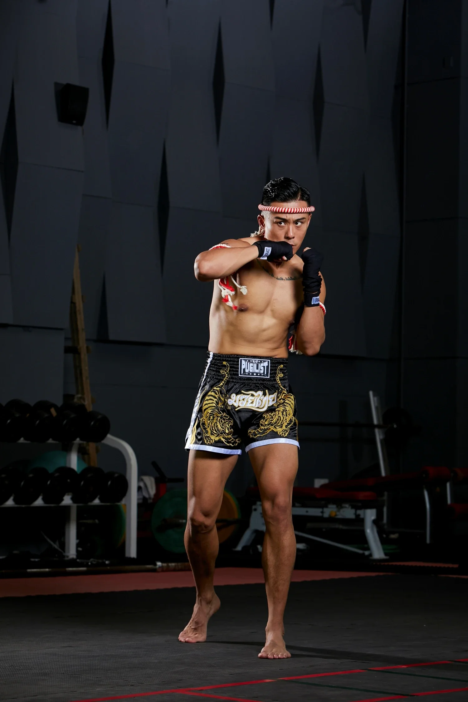 PUGILIST P2 ݹ, Ÿ Ÿ̰ ݹ,  ο, ª  ڼ, ӰǼ ݹ