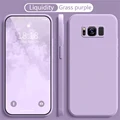 Grass purple