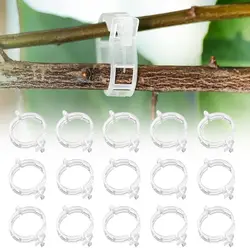 50-300PC Plastic Plant Support Clips Reusable Plant Vine Connects Fixing Tool Vegetable Tomato Grafting Protect Garden Supplies