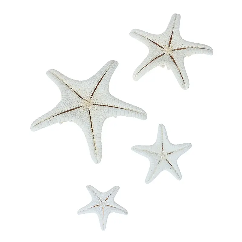 2-14cm Natural Starfish Seashell Beach Craft Natural Sea Stars DIY Beach Wedding Decoration Crafts Home Decor Epoxy natural shell ornaments resin starfish ornaments
