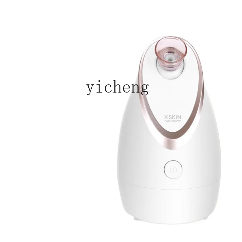 ZF Face Steamer Nano Sprayer Face Steaming Instrument Hot and Cold Double Spray Humidifier Open Pores