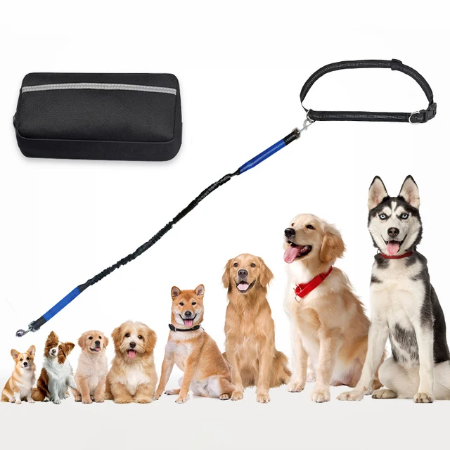 Multifunctional Sports Waist Bag Extended Hand Free Leash Adjustable for dog walking and leash pet running leash with waist bag 2