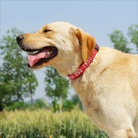 Adjustable Nylon Embroidered Dog Collar Custom ID Name Accessories Pet Collars For Small Medium Large Dogs Pets Supplies Perro 6