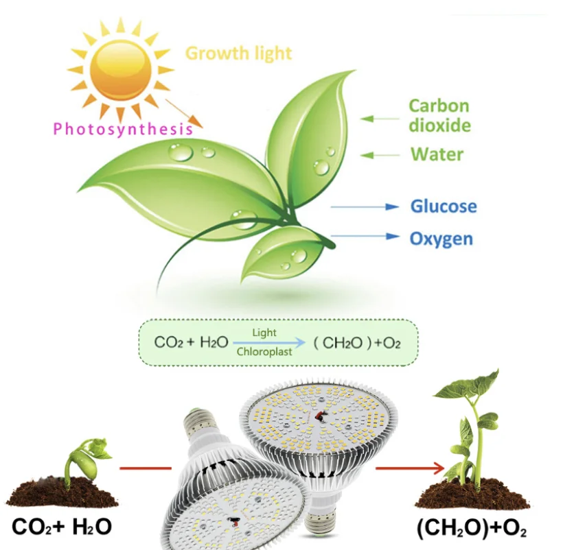 300W LED lamp cup Par38 solar full-band plant lamp E27 cap LED full-spectrum plant growth fill light
