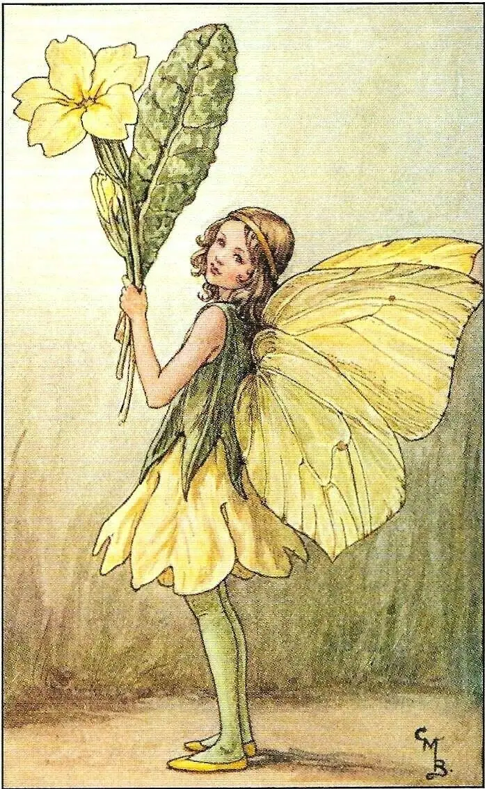 

New Vintage Retro Metal Tin Sign Office Art The Primrose Fairy Flower Fairy Home Kitchen Bar Bedroom Living Room Wall Decor Plaq