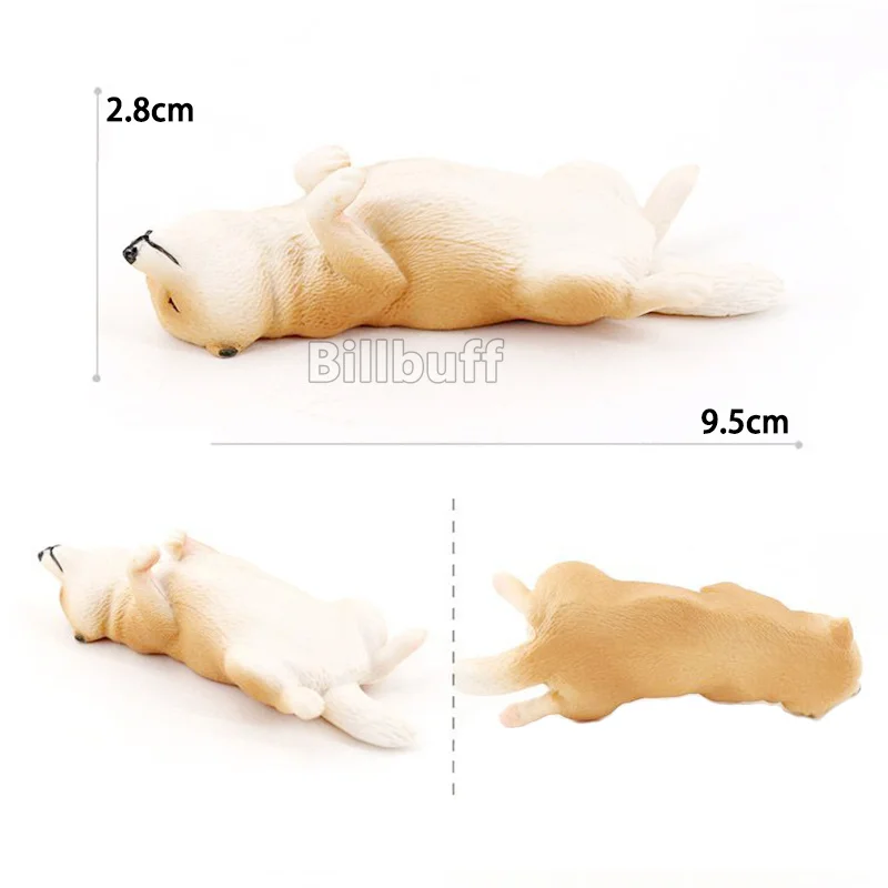 dog toys-A