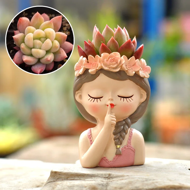 Enchanting Fairy Succulent Flowerpot Ornament
