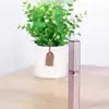 Rechargeable 4-in-1 Women's Electric Shaver for Full Body Hair Removal Including Eyebrow Nose and Bikini Trimming 6