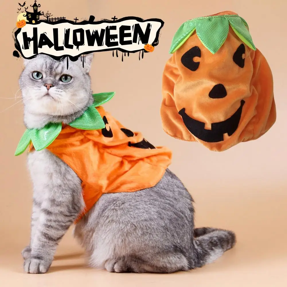 Pet Halloween Costume Halloween Pet Outfit Spooky Pumpkin Pet Costume