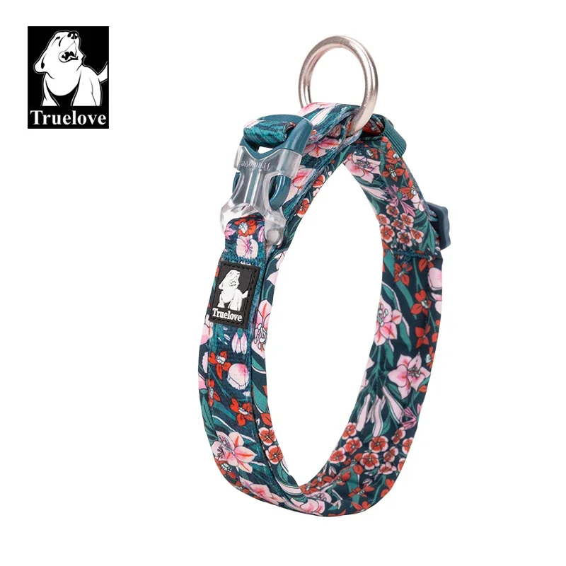 Floral Padded Dog Collar 1