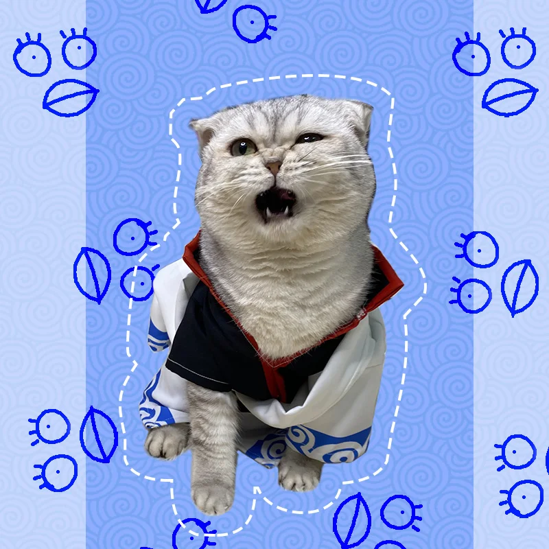Gintama Sakata Gintoki Pet Clothes Cat Silver Soul Cos Coat White Yaksha Dog Primavera/Summer Dress Up Photo Props