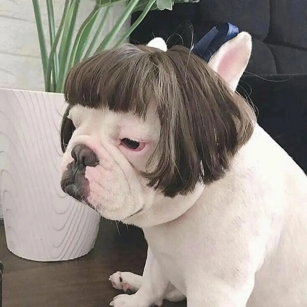 Funny Pet Cosplay Wig – Dog & Cat Costume Headwear 3