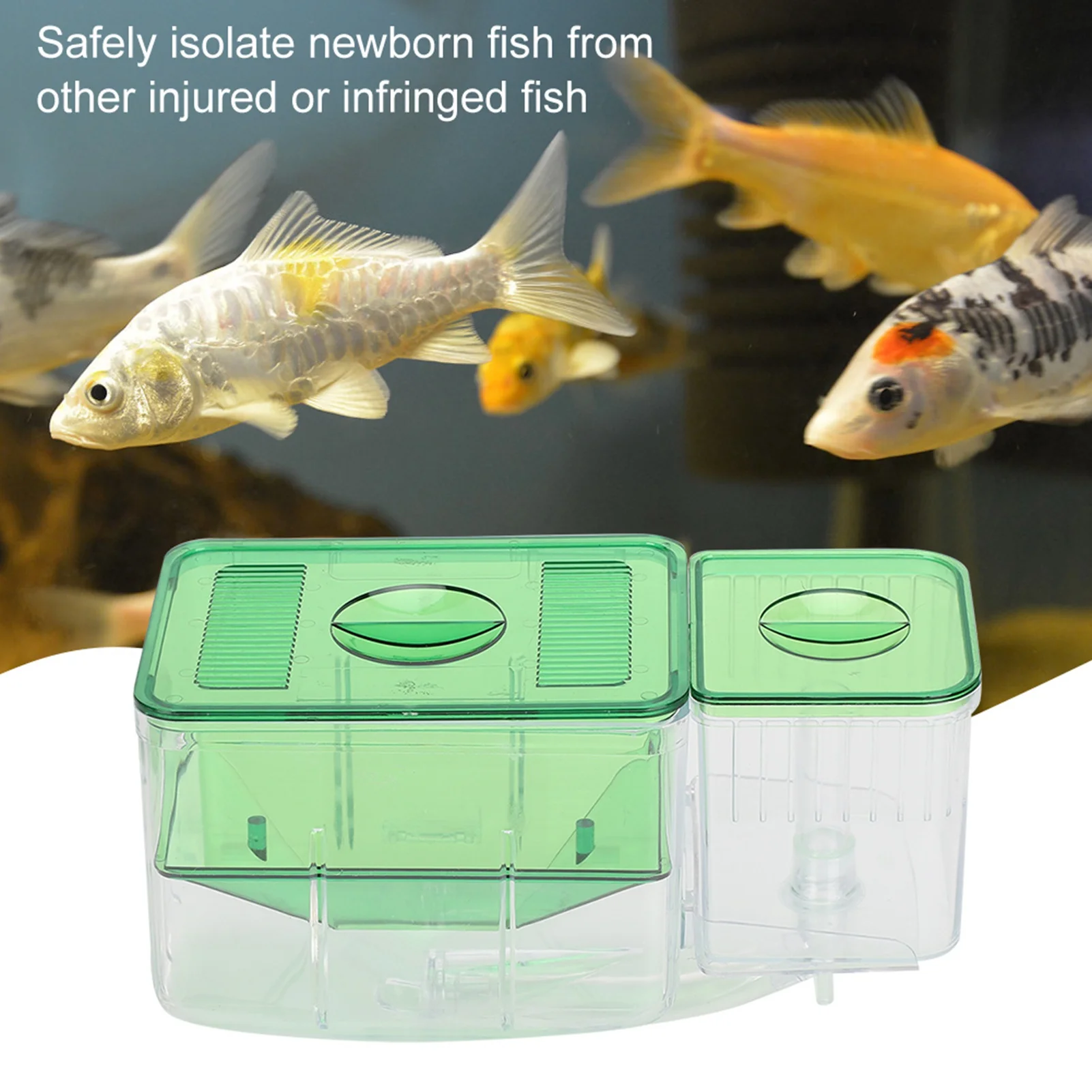Double Layer Fish Breeding Box 6