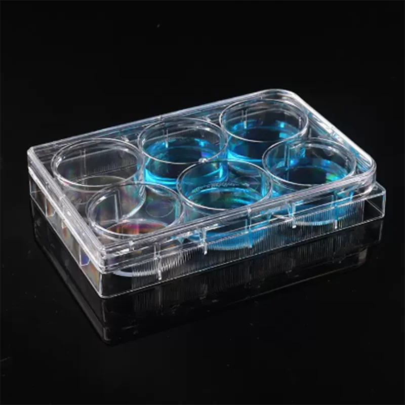 10pcs 6/12/24/48/96 hole well Cell Culture Plates Flat Bottom Sterile Bacterial Culture Treated Plate