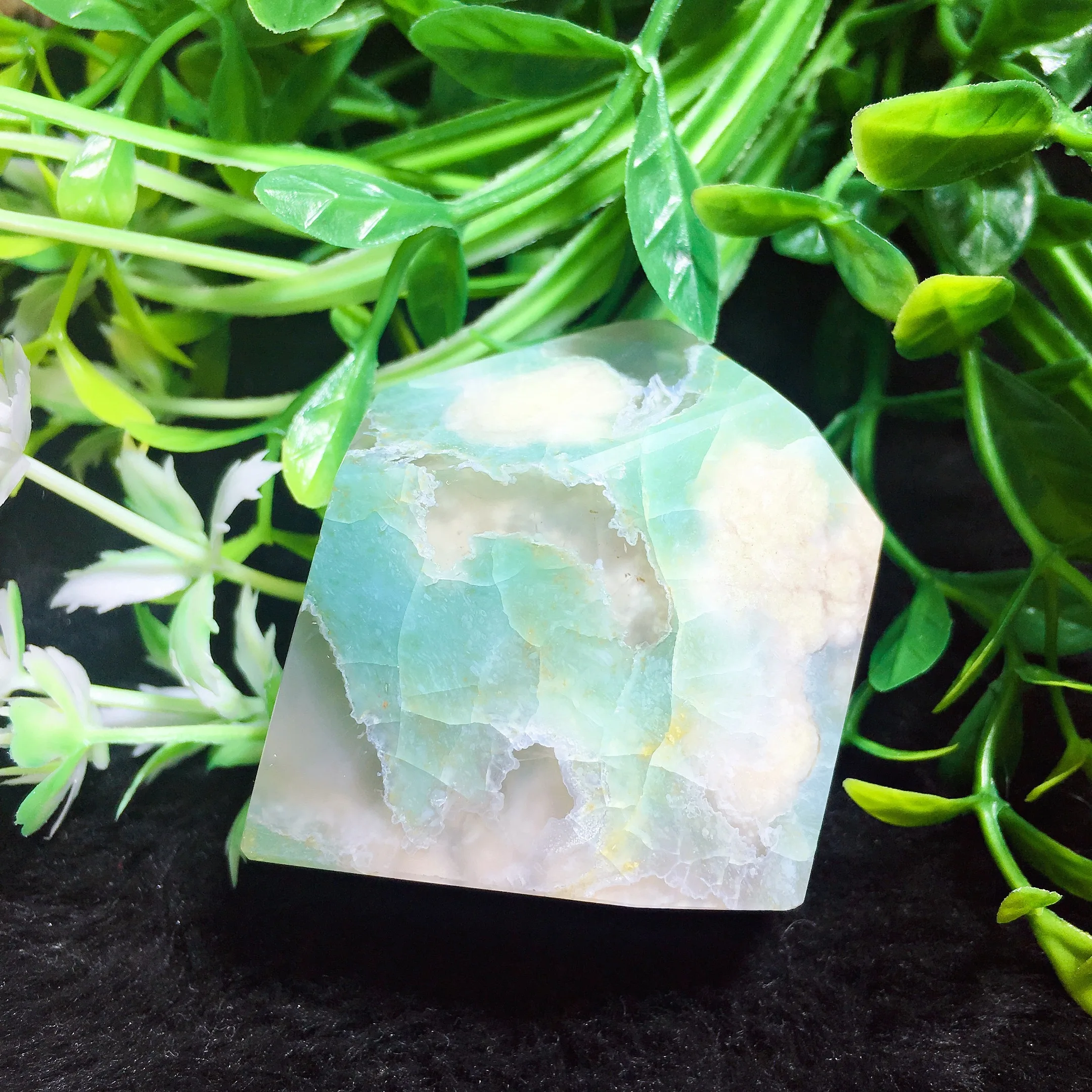 Green Flower Agate Freedom 2404