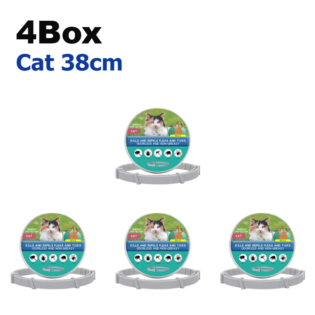 4Box Cat 38cm