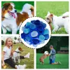 Dog Sniffing Ball Innovative Pet Shaking Training Toys for Pet Training Tooth Cleaning Puppy Chew Relieve Boredom Dog Toy 5