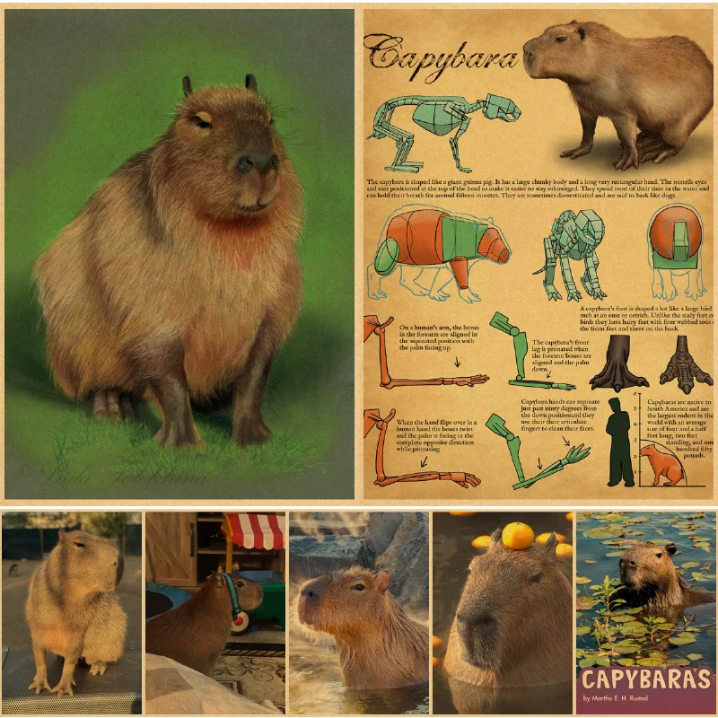 

capybara Printed Wall Poster Posters Vintage Kraft Paper Living Room Home Wall Art Painting