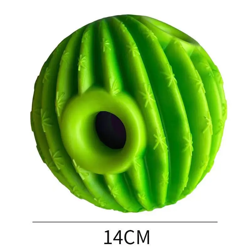 cactus B