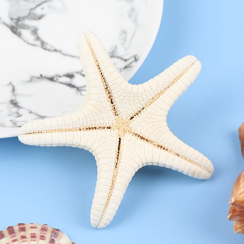 1pcs Starfish Crafts Decor Starfish DIY Shell Sea Fish Party Beige Decor