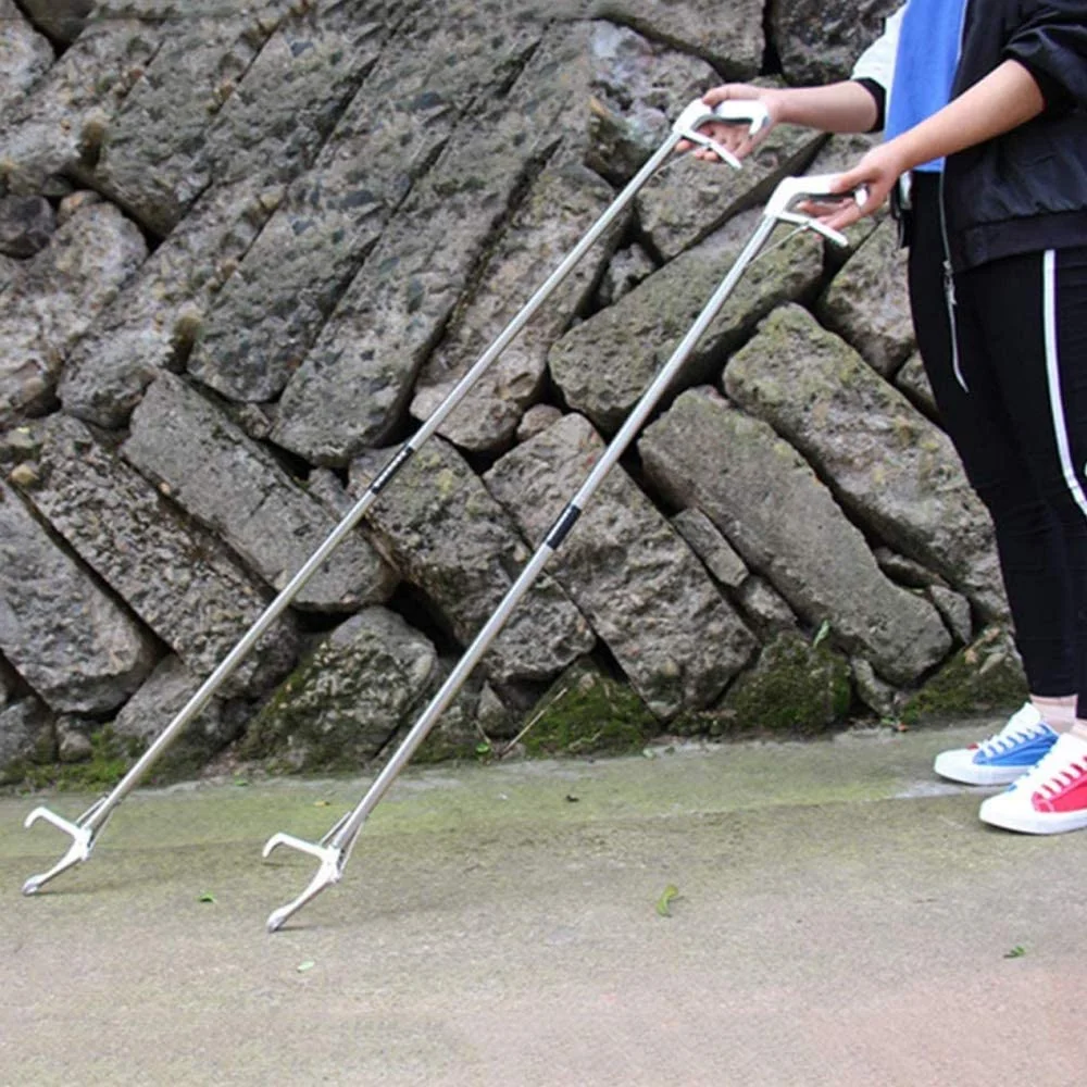 Slide image 4930a5739aa24a49b969cc197c620c4d