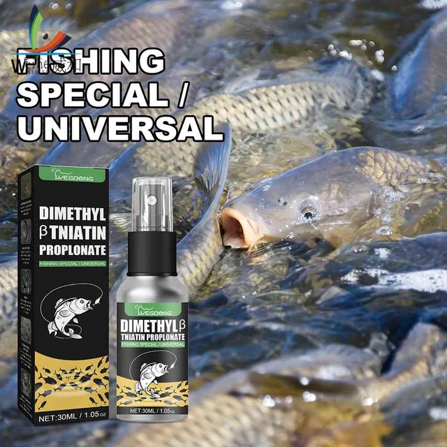 220ml Fish Attractant Spray Fish Liquid Attractant Flavoured Fishing Baits  Additive Fishing Fishing Scent Fishing Accessories - AliExpress