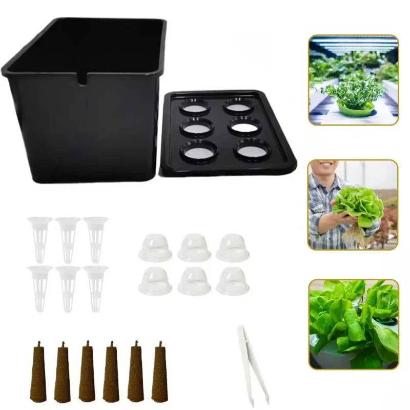 Hydroponic Growing System Kit Versatile Cultivation Planting Box Lightweight Planting Container for Garden Fruits Vegetables