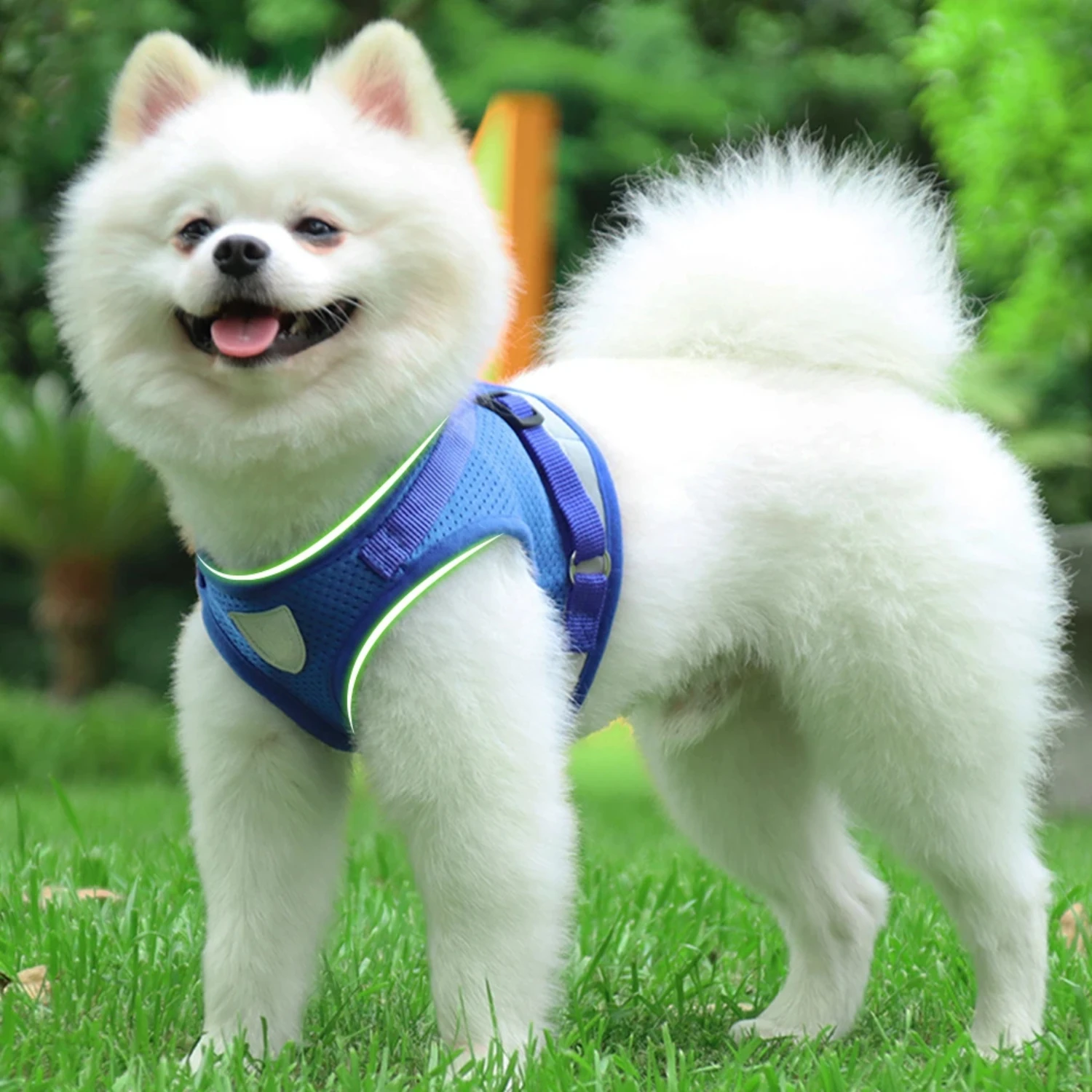 Cat & Puppy Chest Harness  Lightweight Chest Strap Deer Fiber Fleece Skin Friendly Cat & Dog Leash main image 1
