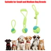 Heavy Duty Rope Toy for Power Chewers | Multi-Texture Tug-of-War & Dental Chew Dog Toy | Non-Slip Grip Indoor/Outdoor Use 4