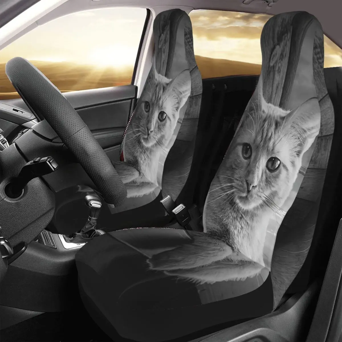 

Portrait In Black And White Of A Domestic Cat Car Seat Cover Custom Printing Universal Front Protector Accessories Cushion Set