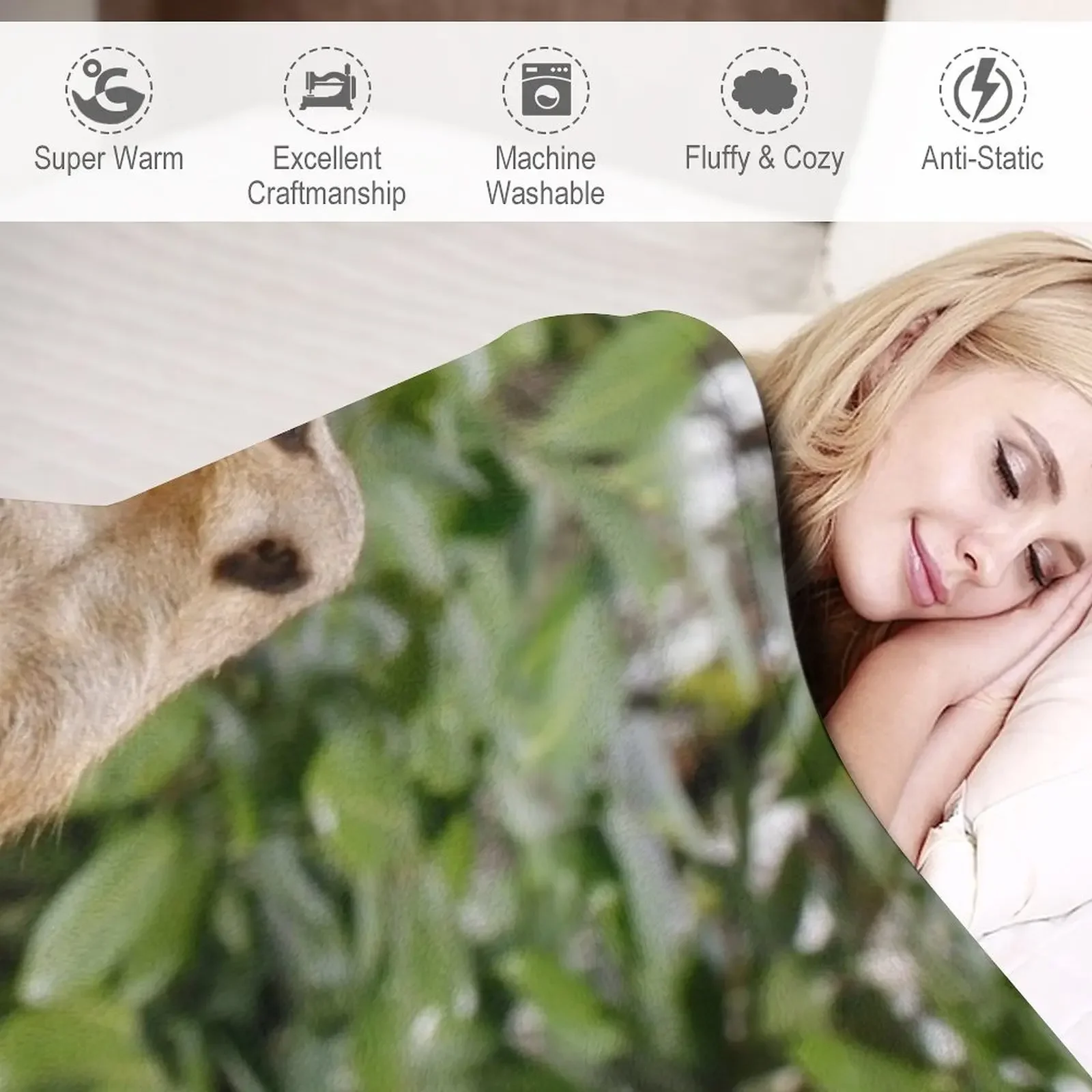 Meerkat 008 ������ ���, �м� ����, ���ſ� ���� �� ���