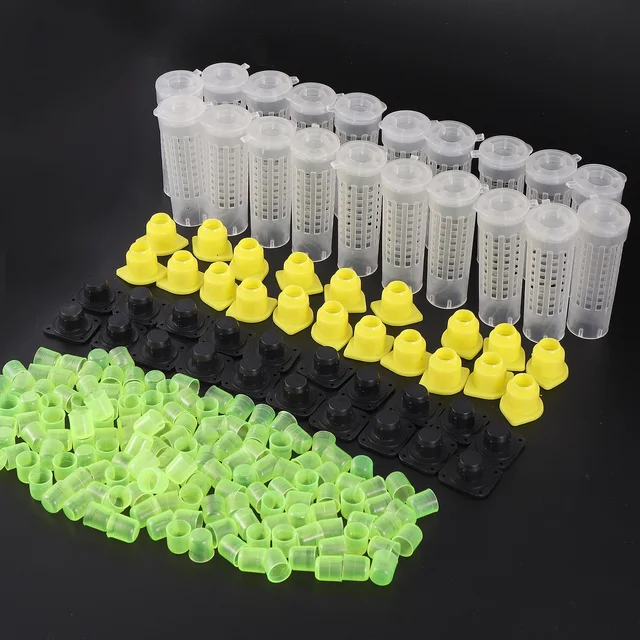 1 Kit Queen Méh Ketrec Foglyok Doboz Mézelő Migrációs Eszköz Kerti Méhészet Méhész Tenyésztő Apikultúra Kellékek - Image 4