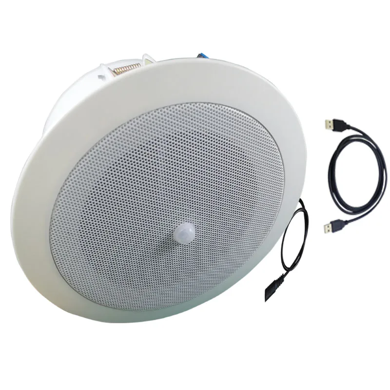 10W Indoor Entrance PIR Human Infrared Movement Detection Voice Prompt Ceiling Speaker