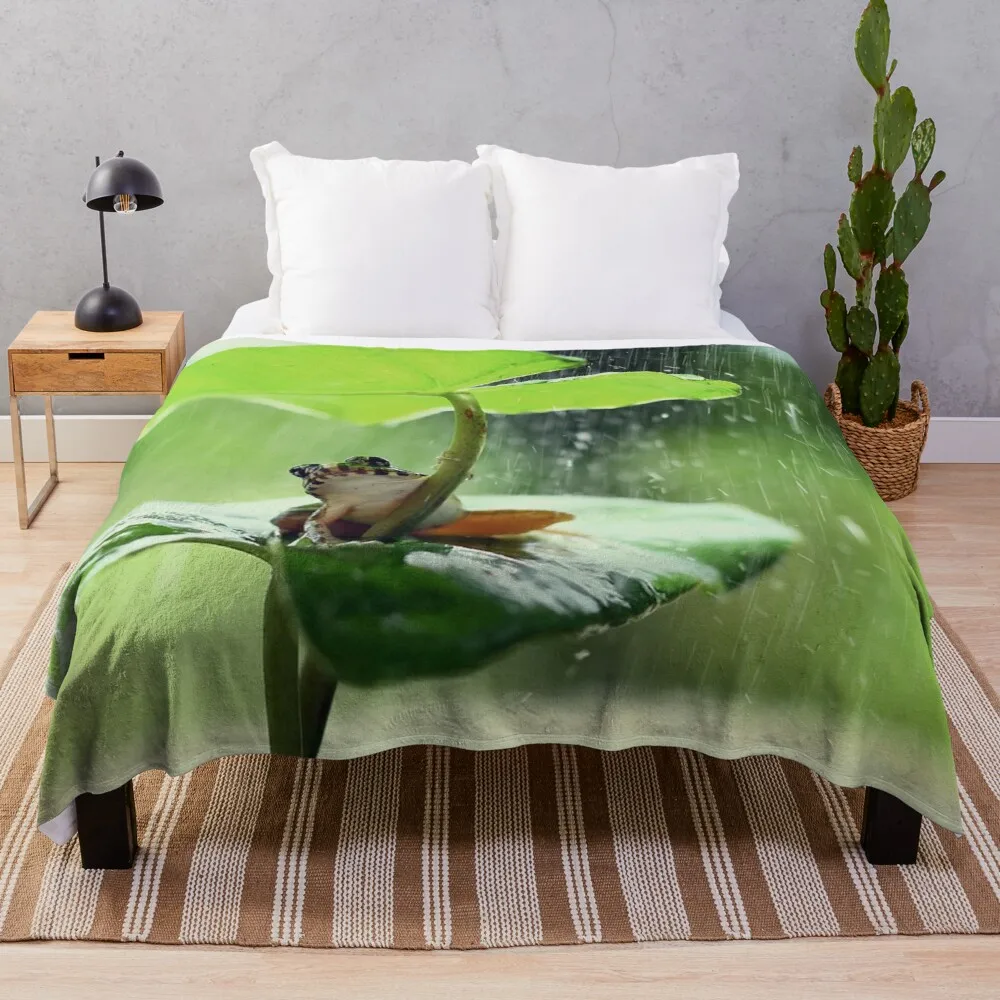 ������ �ڶ� �� ���� ���� ���� ��� ������ ������ ���, ���� �ð� ��� �ð� ���