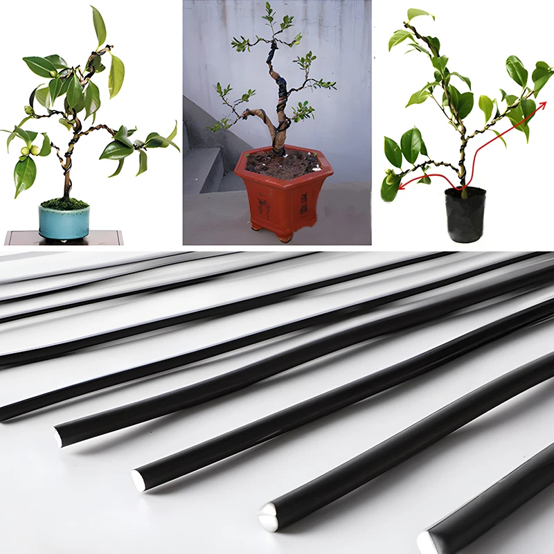 Bonsai Wires Plant Support Branches Shapes DIY Wires Fixing Anodized Aluminum Twig Training Wire for bonsai wire Garden Bonsai Accessories 5M